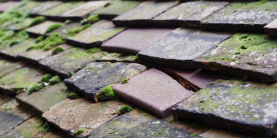 Llanfaelog roof repair costs